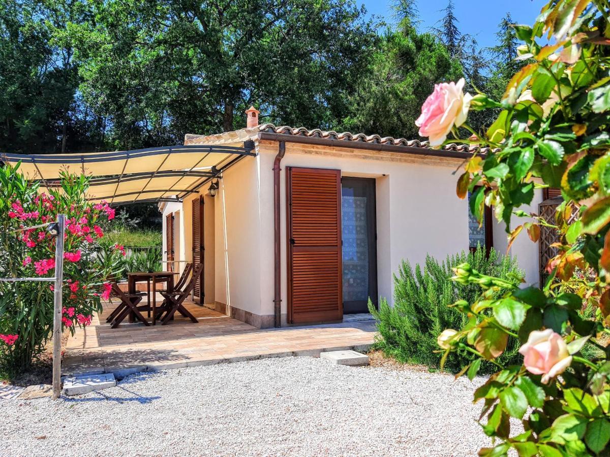 Agriturismo Rosa Antica Monte San Vito Exterior photo