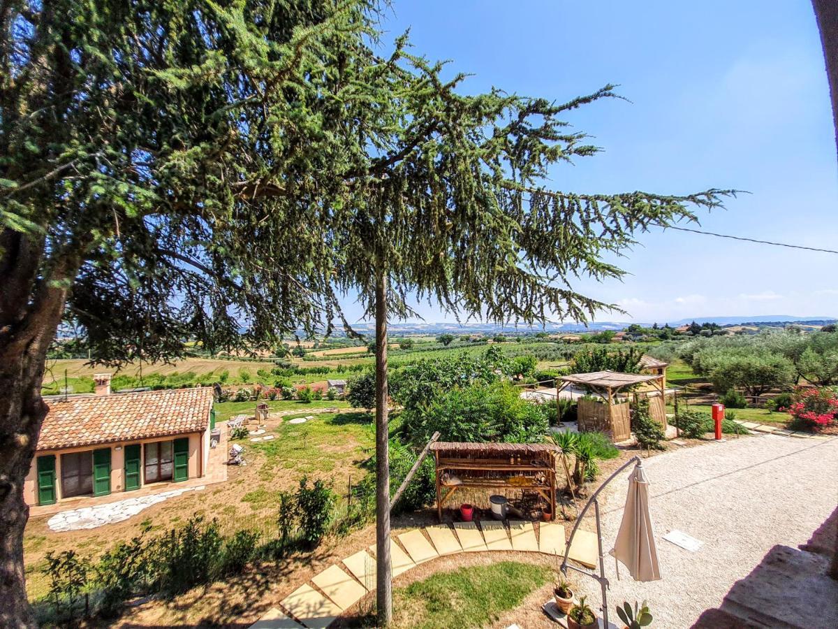 Agriturismo Rosa Antica Monte San Vito Exterior photo