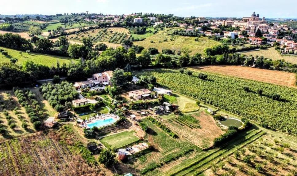 Agriturismo Rosa Antica Monte San Vito Exterior photo