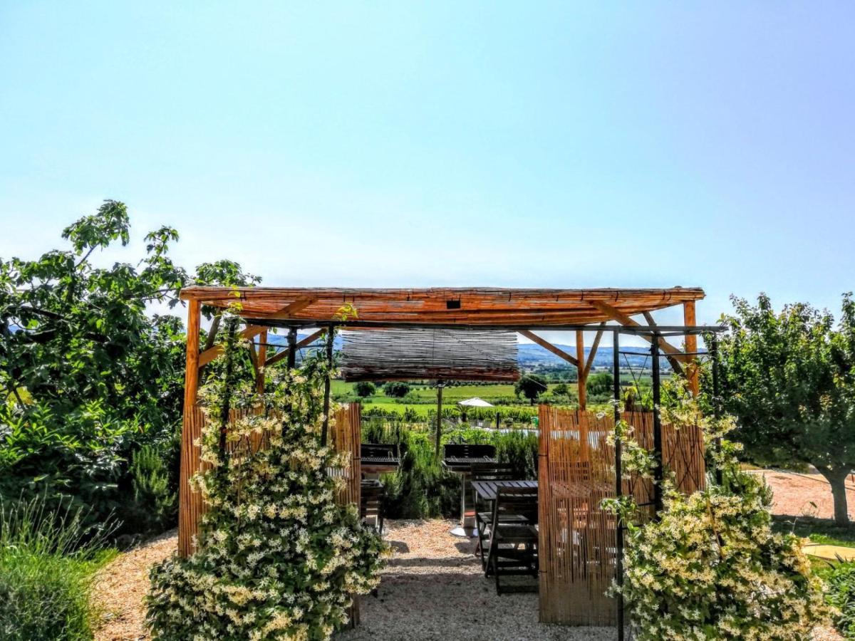 Agriturismo Rosa Antica Monte San Vito Exterior photo